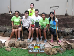 Before photo of SOFT’s edible landscape garden located in UH Manoa’s Sustainability Courtyard.