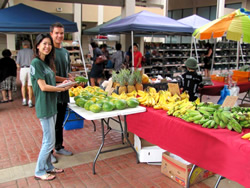 Dietetics Program students Catherine Tong and Dustin Lee collect data at a local open market. (Photo: Corilee Watters)