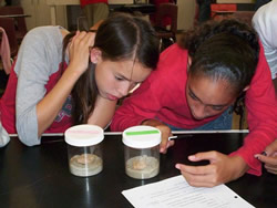 The Educate to Eradicate program aims to teach children about termites while offering scientific and other academic skills.