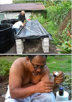 Samoan farmer Apela Afoa learning to test and analyze water quality for ammonia, nitrite, nitrate, and oxygen using liquid testing kits.