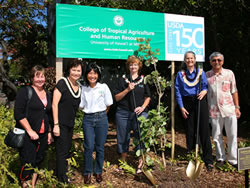 
Former Interim Dean Sylvia Yuen (second from left), USDA Farm Services Executive Director Diane Ley (second from right) and other USDA officials pose with the newly dedicated nonendemic wiliwili tree commemorating USDA’s 150th Anniversary.