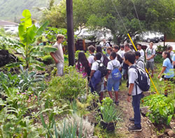 FETCH garden manager and TPSS student Justin Long leading a tour of 5th-graders through the Energy House gardens.