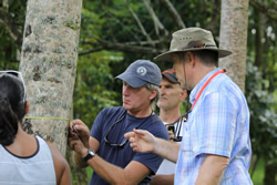 CTAHR extension forester J.B. Friday teaches volunteers in the Forest Stewards program how to measure the diameter of forest trees.