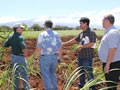 Fueling a Green Revolution
