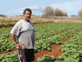 Wouldn’t You Rather Be Riding a Tractor on Moloka‘i?
