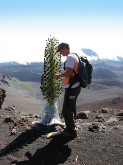 Dr. Krushelnycky collecting data from his alpine desert “lab.”