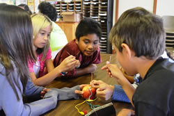 Summer Fun Day participants discover that an apple can be used as a battery!