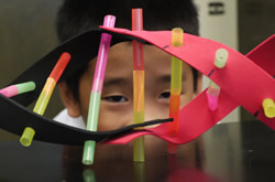 Third-grader John Kimura shows off his extra-long DNA model.