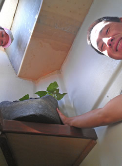 CTAHR alumna Miki Tomita (BA Biosystems Engineering) and extension agent Jensen Uyeda install a sweet potato soil bag planter in tight quarters aboard the Hikianalia