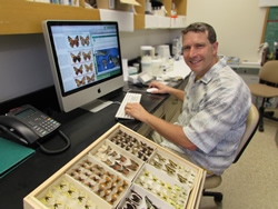Dan Rubinoff displays
pulelehua look- alikes on the project website.