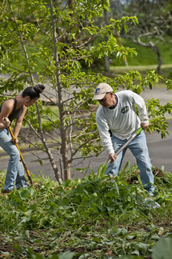 Dr. Hector Valenzuela has worked with both home growers and
ag professionals.