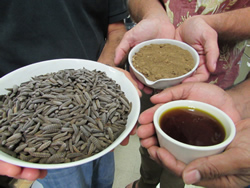 Dried larvae can be turned into larval protein meal and oil.