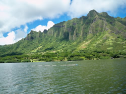 Hawai‘i’s warm, nutrient-rich waters are producing delicious
oysters, more quickly than on the Mainland.