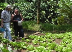 Dr. Jonathan Deenik shares his knowledge of soils with
farmers throughout the Pacific.