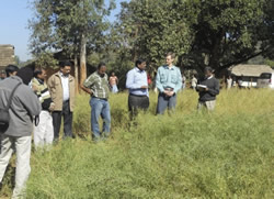 Dr.
Travis Idol (second from right) with other SMARTS team members visiting CAPS
trials.