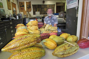Dr. Bittenbender surveys the harvest of pods from his six test plots.