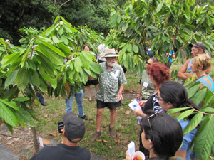 Dr. Bittenbender shares cacao variety trial information at a field day in Waimanalo.