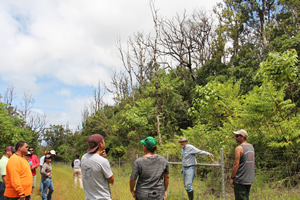 Community members, natural resource managers, and scientists are working together to combat ROD.