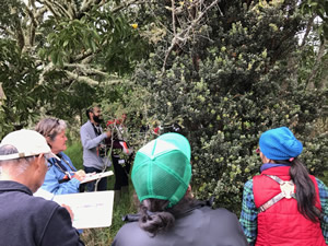 Teaching  for Change curricula are place based, outdoor, immersive, and experiential.