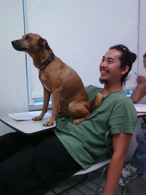 Companion dog Phillip helped students by fostering a pleasant class atmosphere.