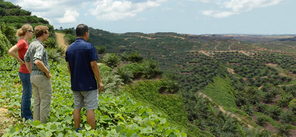 Crops and  livestock release up to a third of human-generated greenhouse gas worldwide. 