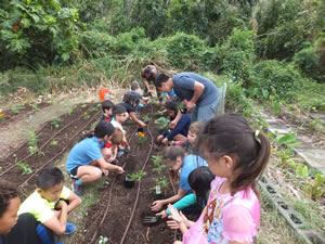The SOFT students' partnership with Noelani Elementary School is in its seventh year.