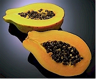 papaya