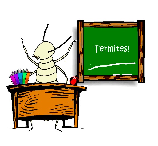 Termite Teacher