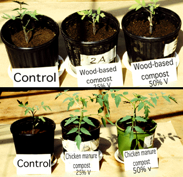 Organic Soil vs. Compost