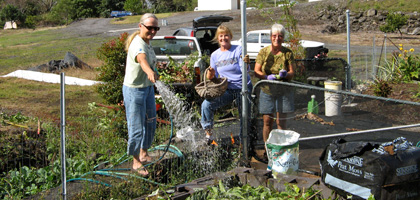 East Hawaii MGs at work