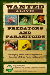 Ladybeetles of Hawaii