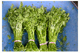 image of watercress bunch