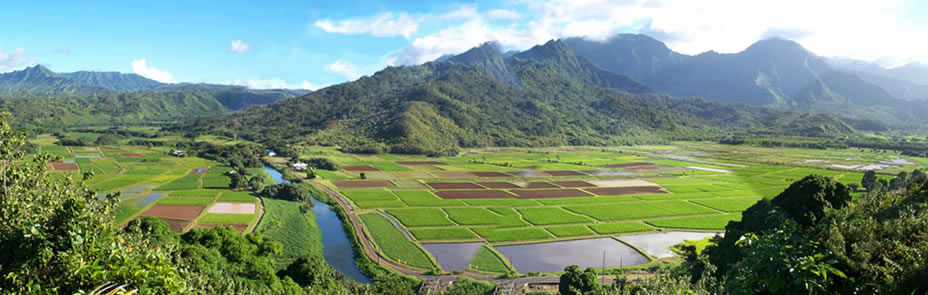 Hanalei Watershed