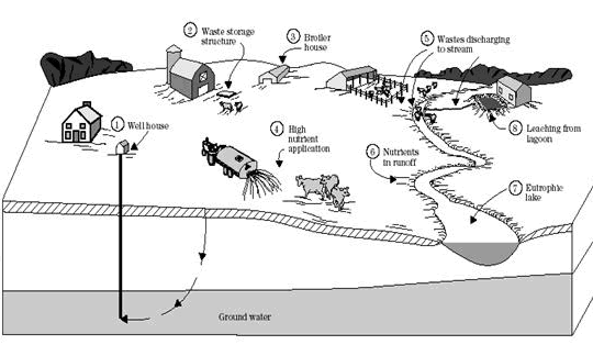 agricultural runoff diagram